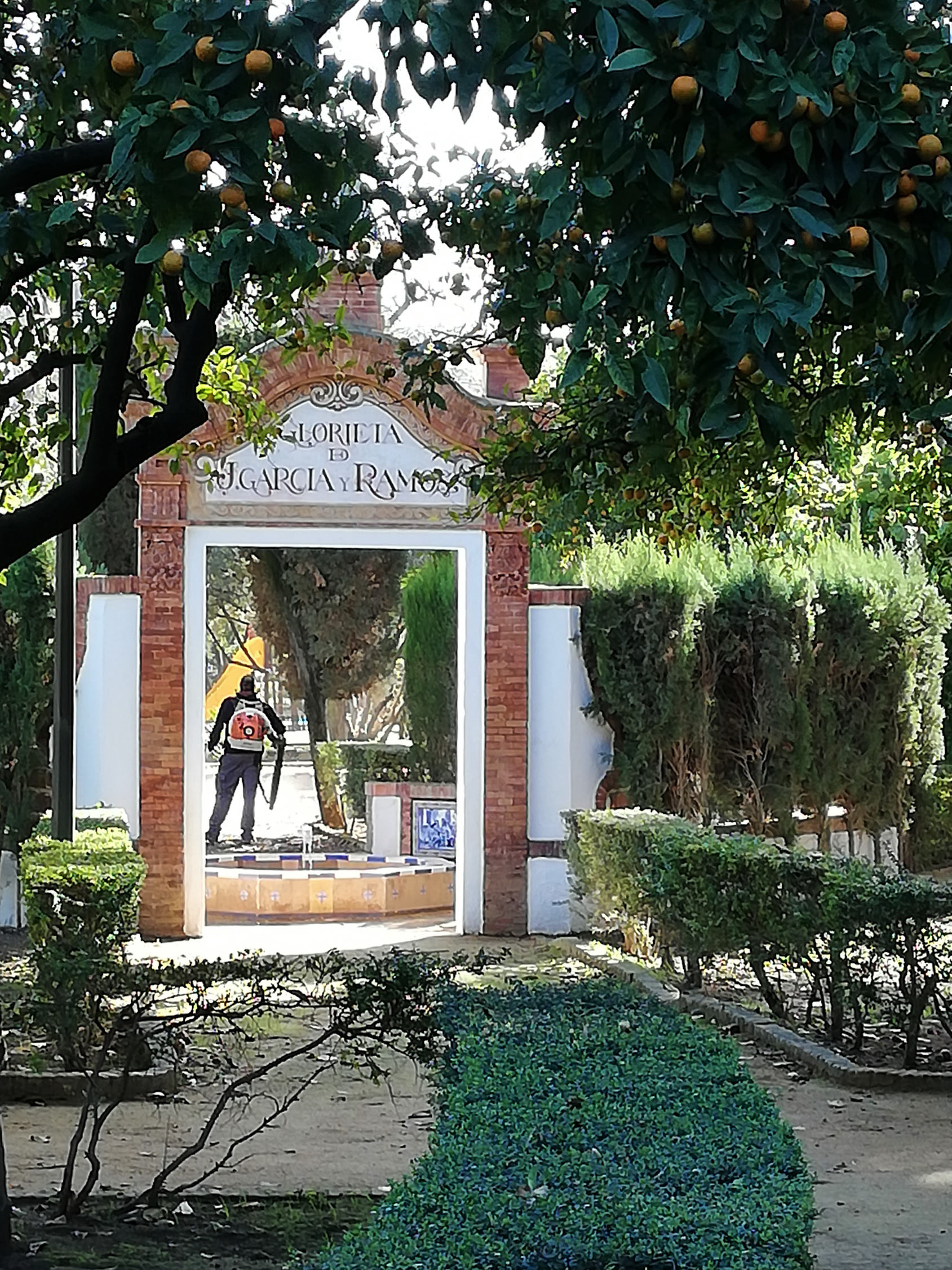 dig JARDINES DE MURILLO DE SEVILLA